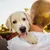 HausPets Jouet pour chien en forme de cigarette couineur HausPets Jouet pour chien en forme de cigarette couineur