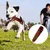 HausPets Jouet pour chien en forme de cigarette couineur HausPets Jouet pour chien en forme de cigarette couineur