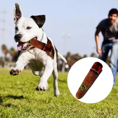 HausPets Jouet pour chien en forme de cigarette couineur HausPets Jouet pour chien en forme de cigarette couineur