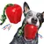 FurryFusion Jouet pomme pour chien à bruit et dentifrice FurryFusion Jouet pomme pour chien à bruit et dentifrice