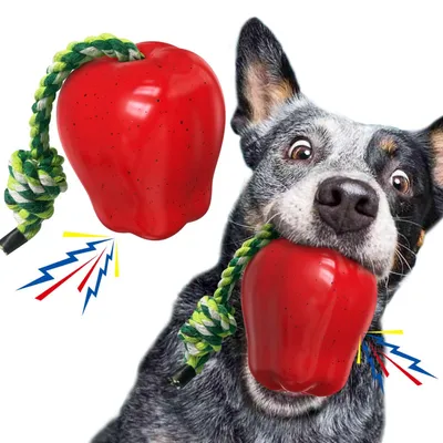 FurryFusion Jouet pomme pour chien à bruit et dentifrice FurryFusion Jouet pomme pour chien à bruit et dentifrice