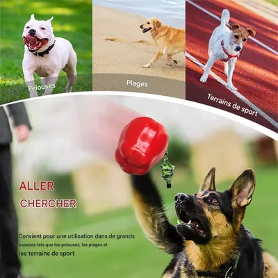 FurryFusion Jouet pomme pour chien à bruit et dentifrice FurryFusion Jouet pomme pour chien à bruit et dentifrice