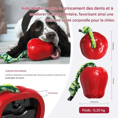 FurryFusion Jouet pomme pour chien à bruit et dentifrice FurryFusion Jouet pomme pour chien à bruit et dentifrice