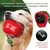 FurryFusion Jouet pomme pour chien à bruit et dentifrice FurryFusion Jouet pomme pour chien à bruit et dentifrice