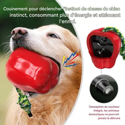 FurryFusion Jouet pomme pour chien à bruit et dentifrice FurryFusion Jouet pomme pour chien à bruit et dentifrice