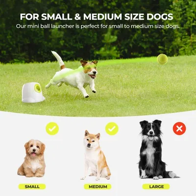 PetTribes Lanceur de Balles Automatique Chien 3/6/9m