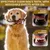 MCBOSON (Saveur Bœuf Crabe) Jouet Mâcher Indestructible Chien MCBOSON (Saveur Bœuf Crabe) Jouet Mâcher Indestructible Chien