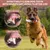 MCBOSON (Saveur Bœuf Écureuil Lapin) Jouet Indestructible Chien