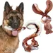 MCBOSON (Saveur Bœuf Écureuil Lapin) Jouet Indestructible Chien