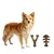 MCBOSON Lot de 2 jouets résistants M saumon bacon chiens MCBOSON Lot de 2 jouets résistants M saumon bacon chiens