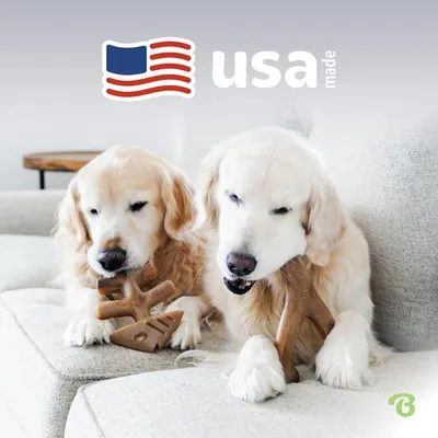 MCBOSON Lot de 2 jouets résistants M saumon bacon chiens MCBOSON Lot de 2 jouets résistants M saumon bacon chiens