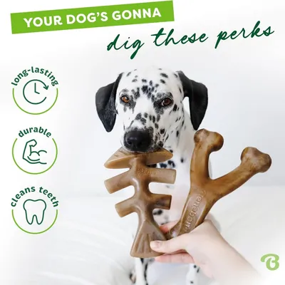 MCBOSON Lot de 2 jouets résistants M saumon bacon chiens MCBOSON Lot de 2 jouets résistants M saumon bacon chiens