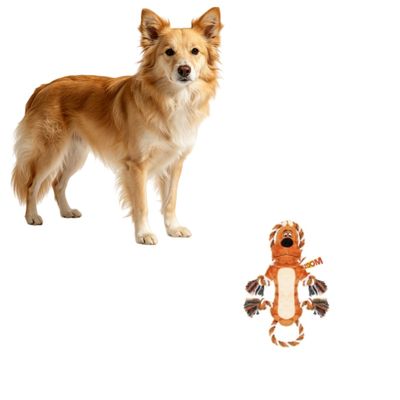 MCBOSON Jouet Peluche Indestructible Squeaker Corde