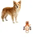 MCBOSON Jouet Peluche Indestructible Squeaker Corde
