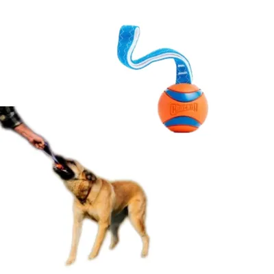 MCBOSON Jouet Chien Taille L 7cm Bande à Jeter MCBOSON Jouet Chien Taille L 7cm Bande à Jeter
