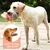 MCBOSON Jouet grinçant vache orange peluche coton MCBOSON Jouet grinçant vache orange peluche coton