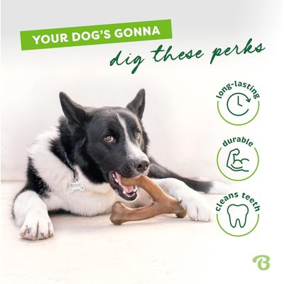 MCBOSON Jouet à mâcher moyen bacon wishbone chiens compulsifs