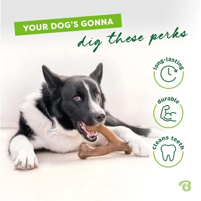 MCBOSON Jouet à mâcher moyen bacon wishbone chiens compulsifs