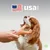 MCBOSON Jouet à mâcher moyen bacon wishbone chiens compulsifs