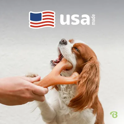 MCBOSON Jouet à mâcher moyen bacon wishbone chiens compulsifs