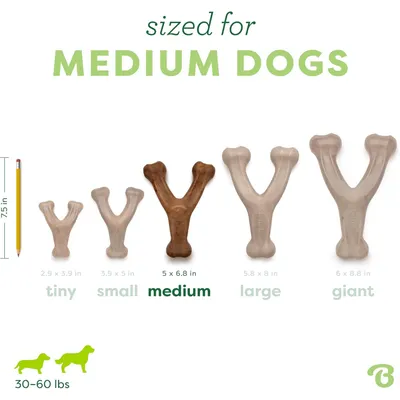 MCBOSON Jouet à mâcher moyen bacon wishbone chiens compulsifs