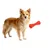 MCBOSON Jouet Os Caoutchouc Rouge 153x66x66mm MCBOSON Jouet Os Caoutchouc Rouge 153x66x66mm
