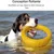 ZooVenture Jouet Tirer Chien - EVA, Flottant, Volant, 7-30kg
