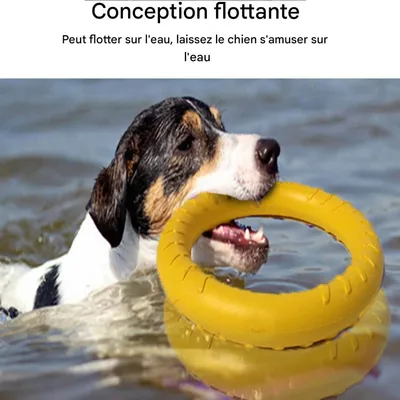 ZooVenture Jouet Tirer Chien - EVA, Flottant, Volant, 7-30kg