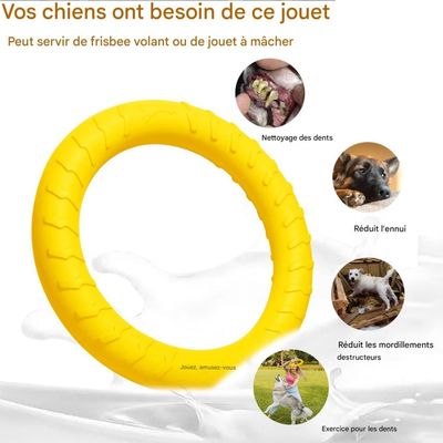 ZooVenture Jouet Tirer Chien - EVA, Flottant, Volant, 7-30kg