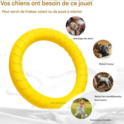 ZooVenture Jouet Tirer Chien - EVA, Flottant, Volant, 7-30kg
