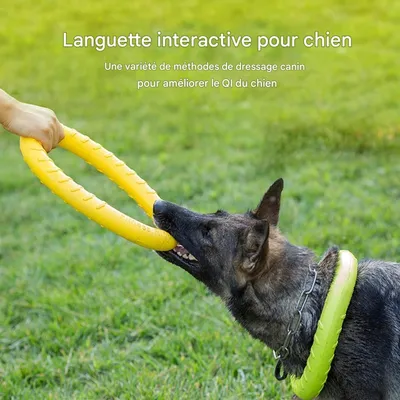 ZooVenture Jouet Tirer Chien - EVA, Flottant, Volant, 7-30kg