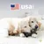 MCBOSON Lot de 2 plaques érable bacon chiens MCBOSON Lot de 2 plaques érable bacon chiens