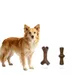 MCBOSON Lot de 2 plaques érable bacon chiens