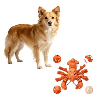 Jouet peluche homard orange grinçant à mâcher chiots tous chiens