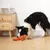 Jouet peluche homard orange grinçant à mâcher chiots tous chiens Jouet peluche homard orange grinçant à mâcher chiots tous chiens
