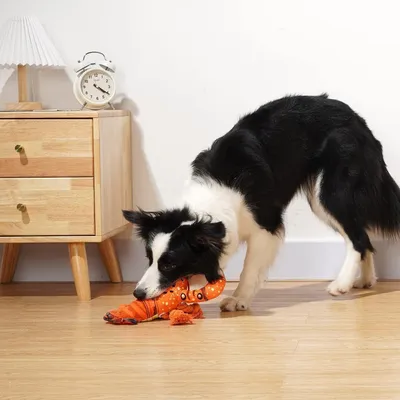 Jouet peluche homard orange grinçant à mâcher chiots tous chiens Jouet peluche homard orange grinçant à mâcher chiots tous chiens