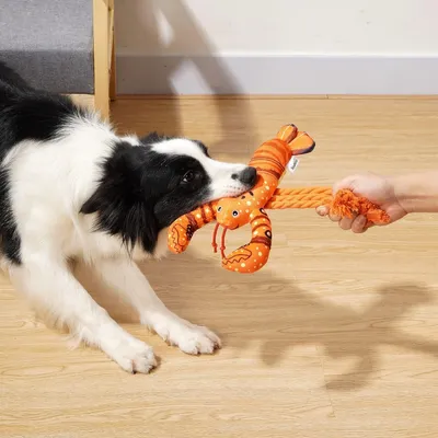 Jouet peluche homard orange grinçant à mâcher chiots tous chiens Jouet peluche homard orange grinçant à mâcher chiots tous chiens
