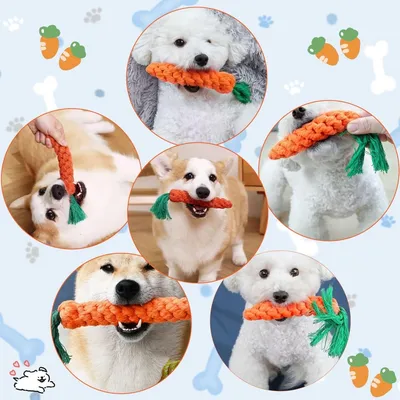 PetTribes Jouets Chien Carotte x2 : Corde Tressée Coton, Dentition, Chiots PetTribes Jouets Chien Carotte x2 : Corde Tressée Coton, Dentition, Chiots