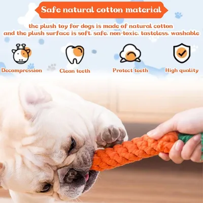 PetTribes Jouets Chien Carotte x2 : Corde Tressée Coton, Dentition, Chiots PetTribes Jouets Chien Carotte x2 : Corde Tressée Coton, Dentition, Chiots
