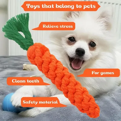 PetTribes Jouets Chien Carotte x2 : Corde Tressée Coton, Dentition, Chiots PetTribes Jouets Chien Carotte x2 : Corde Tressée Coton, Dentition, Chiots