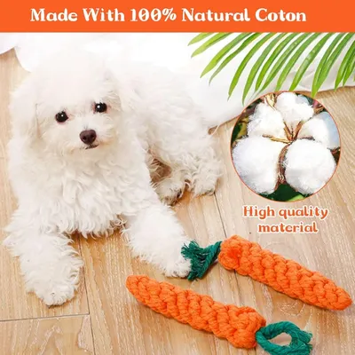 PetTribes Jouets Chien Carotte x2 : Corde Tressée Coton, Dentition, Chiots PetTribes Jouets Chien Carotte x2 : Corde Tressée Coton, Dentition, Chiots