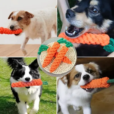 PetTribes Jouets Chien Carotte x2 : Corde Tressée Coton, Dentition, Chiots PetTribes Jouets Chien Carotte x2 : Corde Tressée Coton, Dentition, Chiots