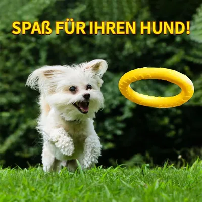 PetTribes Frisbee pour Chien Anneau Flottant Interactif PetTribes Frisbee pour Chien Anneau Flottant Interactif