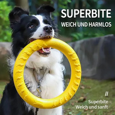PetTribes Frisbee pour Chien Anneau Flottant Interactif PetTribes Frisbee pour Chien Anneau Flottant Interactif