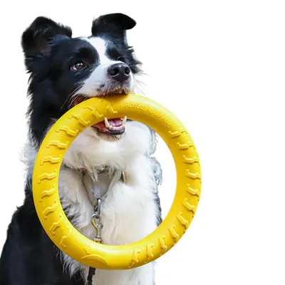 PetTribes Frisbee pour Chien Anneau Flottant Interactif PetTribes Frisbee pour Chien Anneau Flottant Interactif