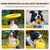 PetTribes Frisbee pour Chien Anneau Flottant Interactif PetTribes Frisbee pour Chien Anneau Flottant Interactif