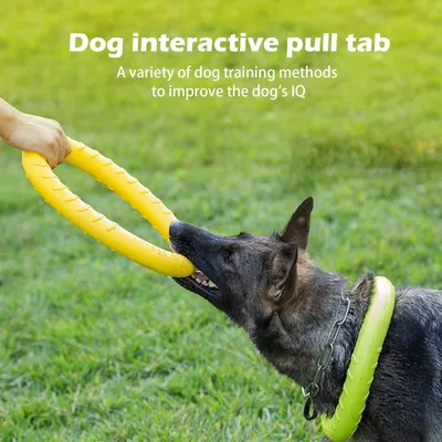 ZooVenture Jouet Tirage Chien EVA Jaune Volant