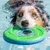 MCBOSON Taille M Vert Flottant Planant Frisbee Chien MCBOSON Taille M Vert Flottant Planant Frisbee Chien