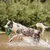 MCBOSON Taille M Vert Flottant Planant Frisbee Chien MCBOSON Taille M Vert Flottant Planant Frisbee Chien