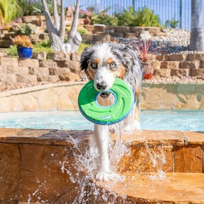 MCBOSON Taille M Vert Flottant Planant Frisbee Chien